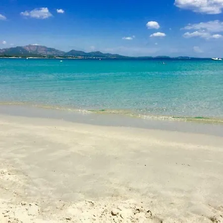 La Vela *