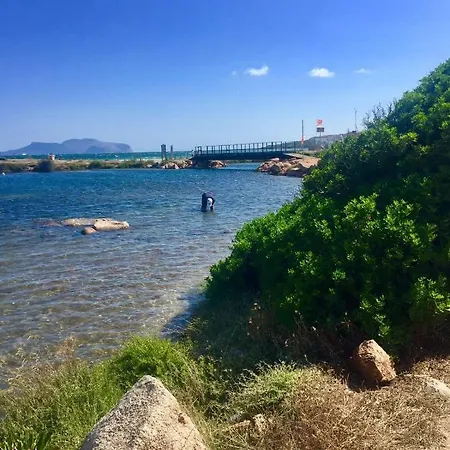 Apartment La Vela