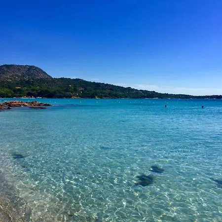 La Vela * Murta Maria